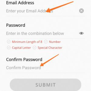 Enter your email password and confirm password