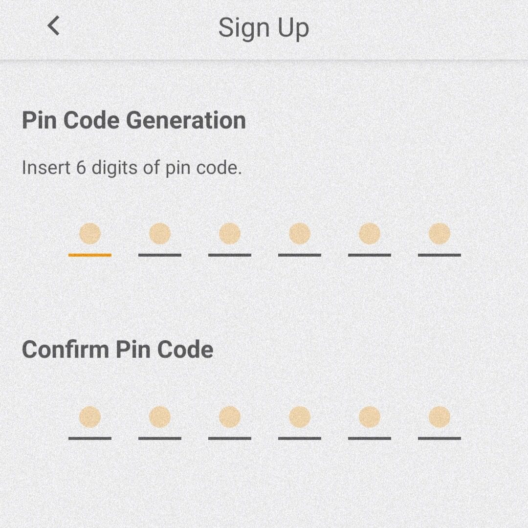 enter 6 digit delivery pin code