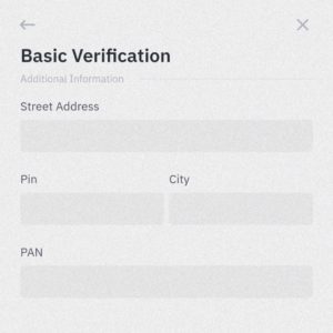 Basic-verification-enter-pan-card 3