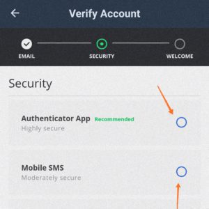 security pattern for the Wazirx app